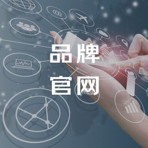 为什么需要建立品牌官网